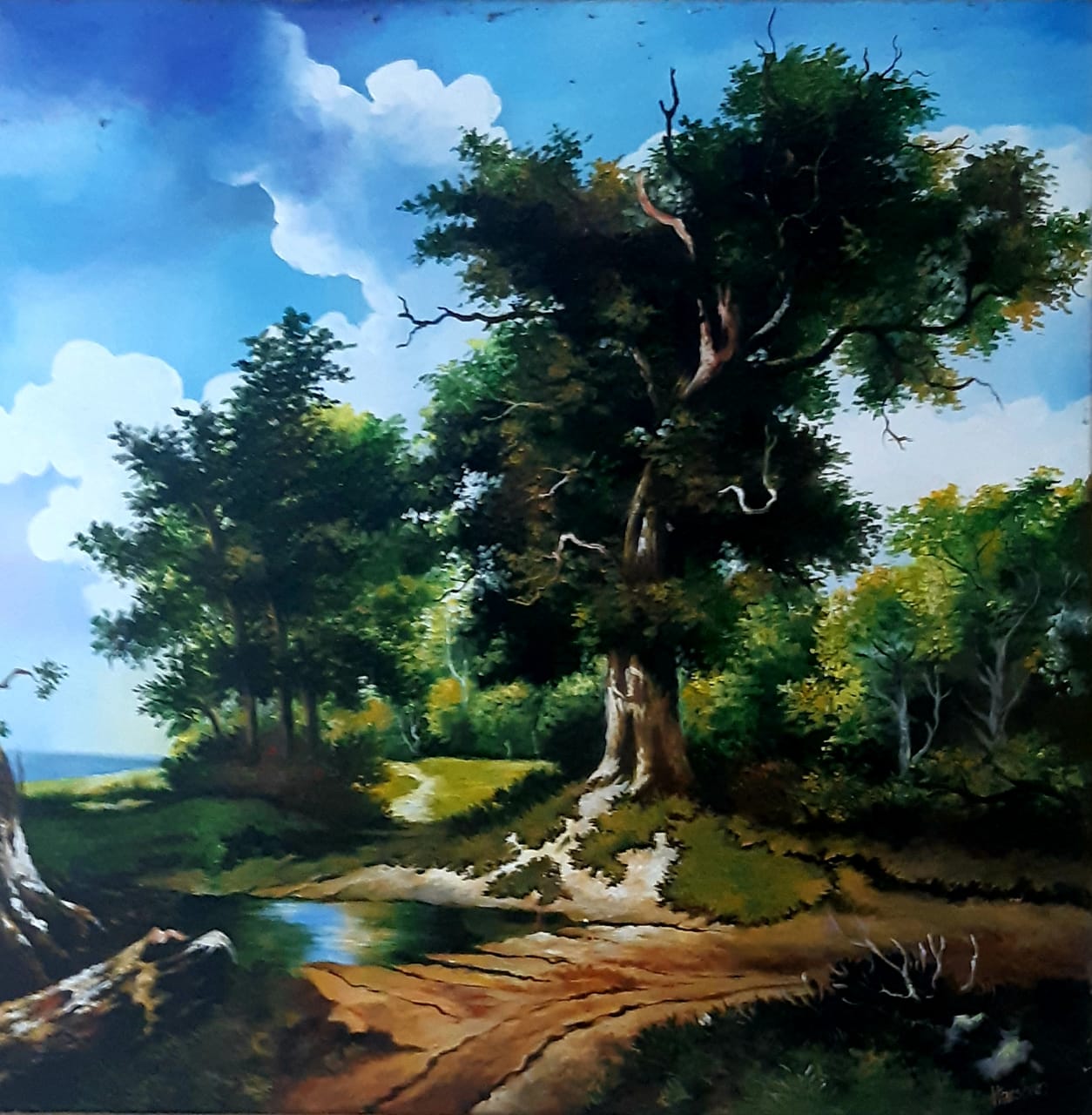 Old tree by Harshan